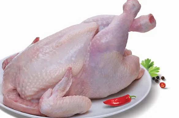 Broiler Chicken-f